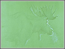 The van Eyck Moose