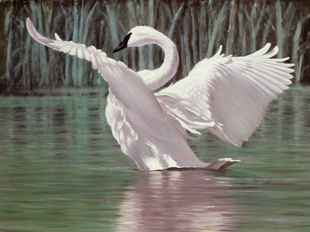 Flight to the Imagination