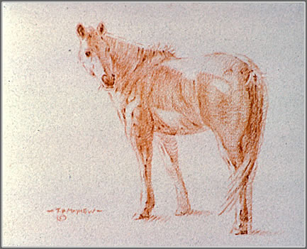 Left Side Study of a Horse Looking Back