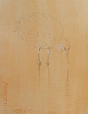Right frontal study of a juvenile Sandhill crane looking into the water