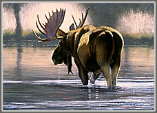 River Crossing