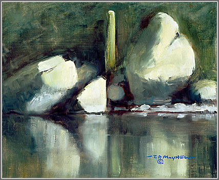 Salt River Grotto