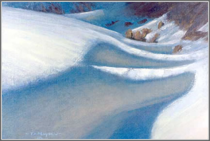 Study of Snow Shadows
