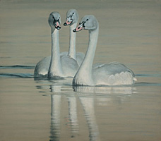 Grand migration