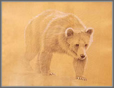 Study of a Grizzly Bear's Stride