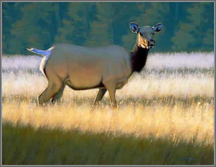 Yellowstone Sunrise