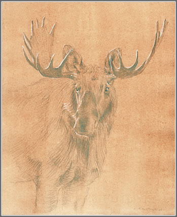 The van Eyck Moose