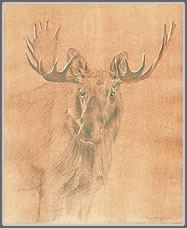 The van Eyck Moose